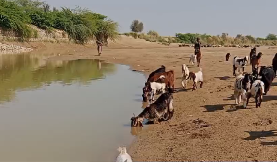 بولان میں طوفانی بارشین کوئٹہ سبی شاہراہ پر ٹریفک کی آمدرفت متاثر