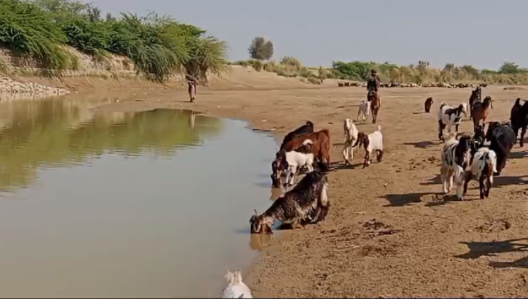 بولان میں طوفانی بارشین کوئٹہ سبی شاہراہ پر ٹریفک کی آمدرفت متاثر