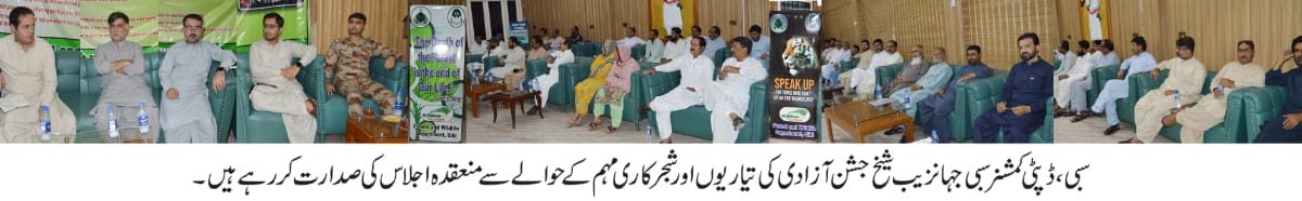 جشن ازادی انتہائی جوش و جذبہ سے منایا جائے گا - ڈی سی سبی جہانزیب شیخ